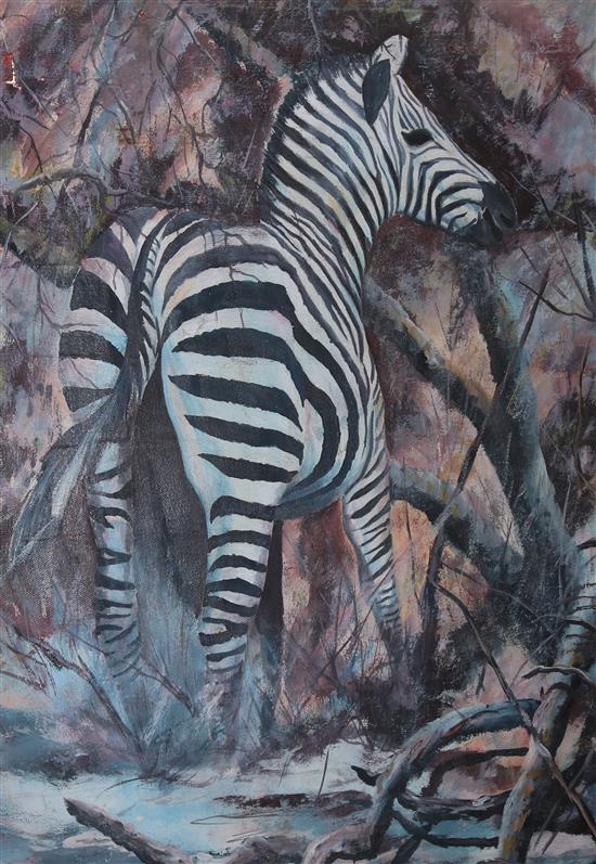 Murila Kamangu, oil, Zebra